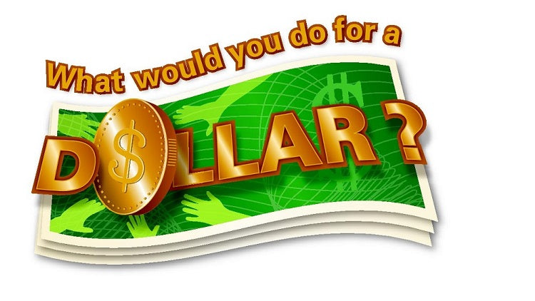 What Would You Do for a Dollar Team Building Quiz Game Show Event in New Zealand